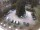 Webcam in Meran, 0.4 km