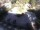 Webcam in Meran, 1.2 mi away
