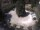 Webcam in Merano, 2.5 km