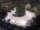 Webcam in Merano, 0.4 km