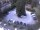 Webcam in Meran, 1.2 mi away