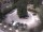 Webcam in Meran, 0.4 km entfernt