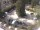 Webcam in Mérano, 2 km