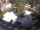 Webcam in Mérano, 0.5 km