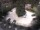 Webcam in Meran, 0.9 mi away