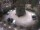 Webcam in Merano, 0.5 km