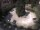 Webcam in Mérano, 4.4 km