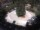 Webcam in Meran, 0.9 mi away