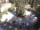 Webcam in Meran, 6.3 km entfernt