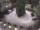 Webcam in Merano, 0.5 km