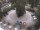 Webcam in Meran, 5.3 km