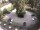 Webcam in Meran, 0.9 mi away
