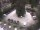 Webcam in Meran, 0.1 mi away