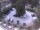 Webcam in Meran, 3 mi away