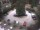 Webcam in Meran, 6.3 km