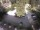 Webcam in Meran, 0 km entfernt