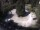 Webcam in Meran, 2.5 km
