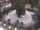 Webcam in Meran, 1.2 mi away