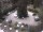 Webcam in Meran, 11.1 km