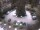 Webcam in Meran, 13.6 km