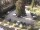 Webcam in Meran, 2 km