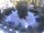 Webcam in Meran, 0.5 km entfernt