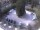 Webcam in Merano, 7.9 km