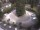 Webcam in Mérano, 11.1 km