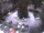 Webcam in Merano, 2.5 km