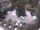 Webcam in Meran, 2.4 km entfernt