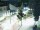 Webcam in Bramsche, 18.3 mi away