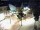 Webcam in Bramsche, 21.7 mi away