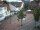 Webcam in Bramsche, 5.5 mi away