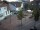 Webcam in Bramsche, 11.2 mi away
