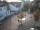 Webcam in Bramsche, 16.4 km