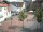 Webcam in Bramsche, 5.5 mi away