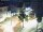 Webcam in Bramsche, 18.8 mi away