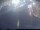 Webcam in Rom, 1.1 km entfernt