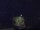 Webcam in Abergavenny, 17.5 mi away