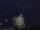Webcam in Abergavenny, 38 mi away