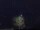 Webcam in Abergavenny, 17.3 mi away