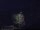 Webcam in Abergavenny, 53.2 km entfernt