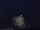 Webcam in Abergavenny, 12.8 mi away
