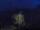 Webcam in Abergavenny, 37.7 mi away