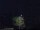 Webcam in Abergavenny, 12.8 mi away