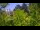 Webcam in Herzberg (Elster), 13.3 mi away