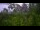 Webcam in Herzberg (Elster), 54.5 km entfernt