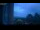 Webcam in Herzberg (Elster), 16.2 mi away
