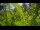 Webcam in Herzberg (Elster), 13.3 mi away
