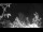 Webcam in Herzberg (Elster), 7.9 mi away
